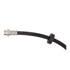 Ram Promaster 3500 Brake Hoses - Front - R1 Concepts - `14-`26